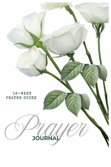 Book Cover Variant Thumbnail