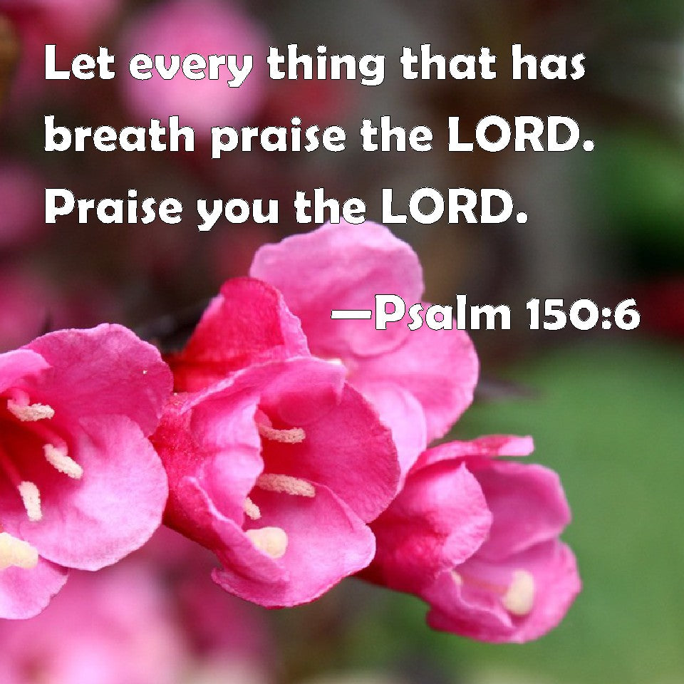 Psalm 150:6