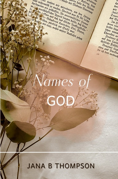 Book Cover Variant Thumbnail